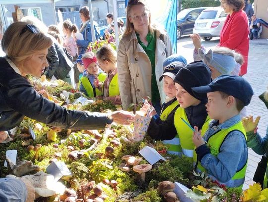 9 października przed budynkiem PSSE w Tomaszowie Lubelskim była wystawa o grzybach.