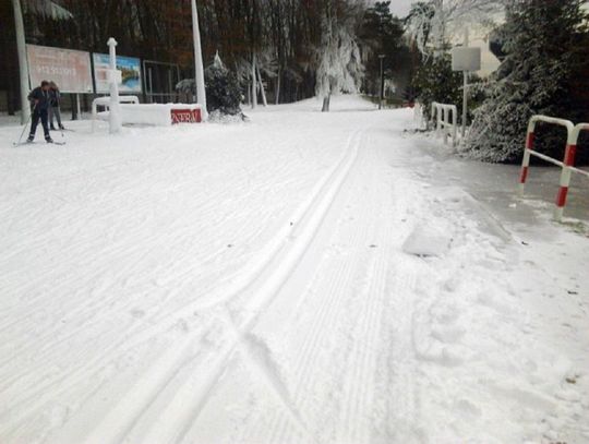 Tomaszów Lubelski: Śnieg spadł. Można biegać na nartach