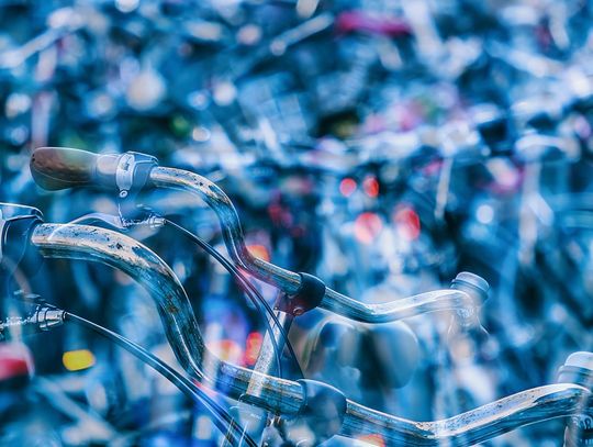 Tomaszów Lubelski: Zguby do kupienia za grosze na licytacji