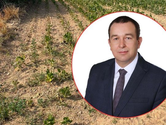 – Potrzebna jest natychmiastowa reakcja władz, żeby rolnik wiedział konkretnie, na jaką pomoc może liczyć. Powinny być jakieś jasne zasady, a teraz nie wiadomo, na czym się stoi – mówi Piotr Kielar przewodniczący powiatowej rady Lubelskiej Izby Rolniczej w Tomaszowie Lubelskim.