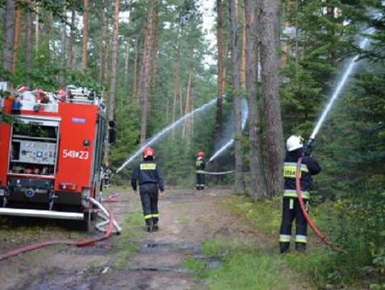 Tomaszowskie: Strażacy gasili pożar lasu. To były ćwiczenia (ZDJĘCIA)