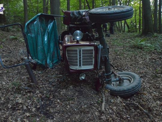 Tragedia w lesie pod Krasnobrodem. Nie żyje 68-letni mężczyzna