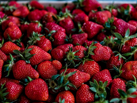 Przepisy regulują to, co wolno klientowi, a czego robić nie powinien.