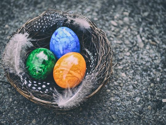 Trwają zapisy na Targi Twórców Ludowych i Sztuki Kulinarnej w Mirczu Ruszają zapisy na XVI Targi Twórców Ludowych i Sztuki Kulinarnej w Mirczu. Tamtejszy Gminny Ośrodek Kultury zaprasza na szesnastą edycję tych kultowych targów przedświątecznych.