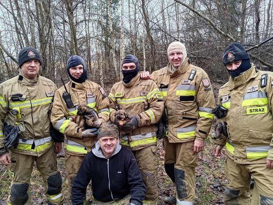 Strażacy z OSP Tyszowce w Święto Trzech Króli uratowali dwa psiaki.