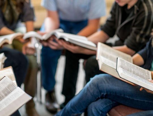 Najlepsze uczelnie w Polsce chcą, żeby prokuratura zajęła się handlującymi w sieci ich dyplomami.