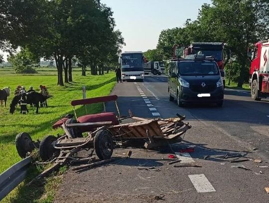 Woźnica i jego pasażerka zostali przetransportowani do szpitala. Konie wymagały opieki weterynaryjnej.