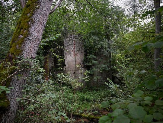 Od 13 października na Czartowym Polu prowadzone są prace porządkowe w obrębie ruin dawnej papierni.