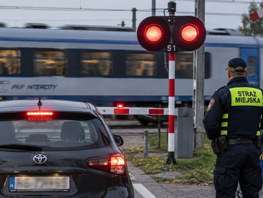 Od 15 września strażnicy miejscy i gminni mają nowe uprawnienia.