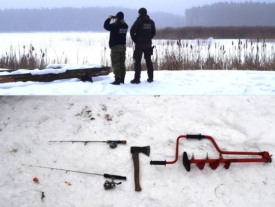 Wspólna akcja Straży Leśnej z Nadleśnictwa Sobibór oraz funkcjonariuszy Straży Granicznej ze Zbereża doprowadziła do ujęcia mężczyzny, który nielegalnie łowił ryby w jednym z jezior rezerwatu przyrody „Żółwiowe Błota”.