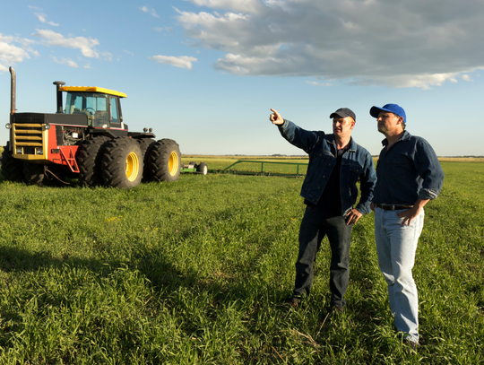 Mit o polexicie na wsi, którym karmią Polaków niektórzy politycy, poległ w zderzeniu z badaniami.