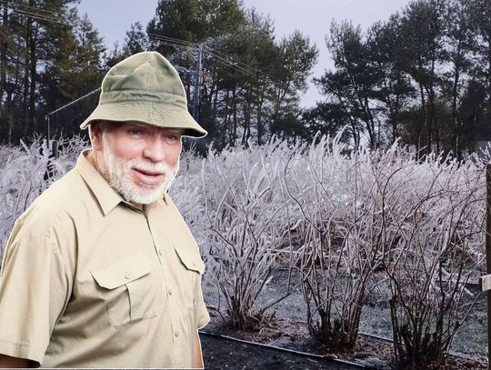 Właściciel borówkowej Plantacji Matcze: "Na zmiany klimatu trzeba przygotować się wcześniej"