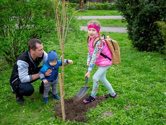 „Wrastaj w Hrubieszów”. Dzieci z rodzicami sadzili drzewa