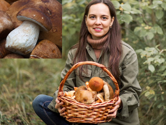 Mamy wrześniowy wysyp grzybów.