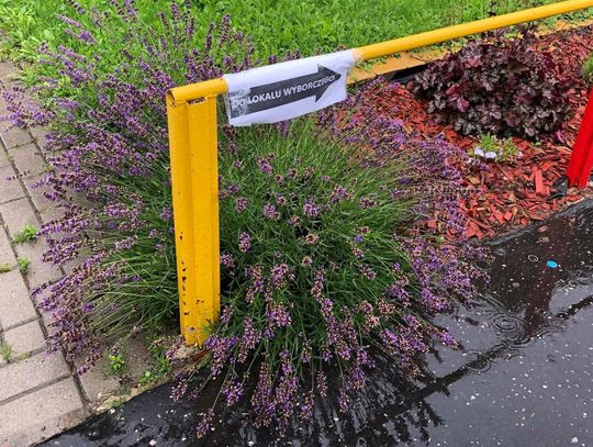 Wybory prezydenckie 2020. Jak głosował powiat biłgorajski?