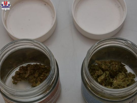 Kryminalni z zamojskiej komendy zabezpieczyli marihuanę, z której można byłoby wykonać prawie 290 porcji dilerskich tego narkotyku.