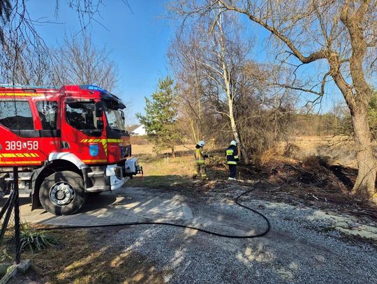 12 marca trawy płonęły w Zwierzyńcu (powiat zamojski) przy ul. Jesionowej.  Strażacy opanowali sytuację.