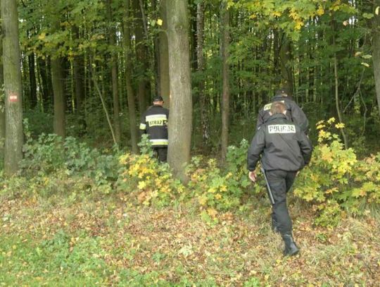 Zaginiona 42-latka z Dołhobyczowa znalazła się w lesie w pow. zamojskim