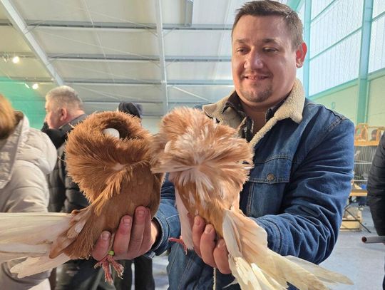 XV Zamojską Wystawę Gołębi Rasowych i Drobiu Ozdobnego można uznać za udaną.