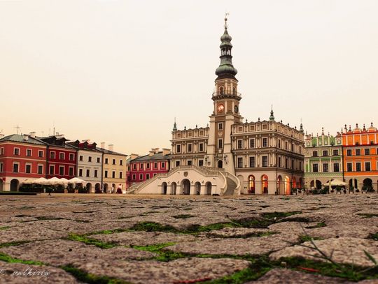 Zamość: Będą nowi wiceprezydenci. Magdalena Dołgan i Andrzej Zastąpiło odchodzą ze stanowisk