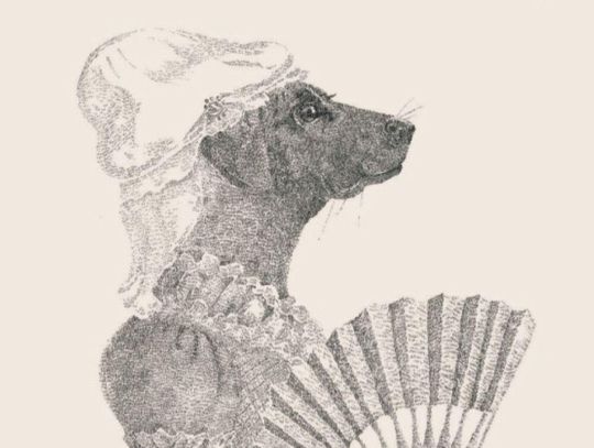 Zamość: Co utkała srebrną nicią Elżbieta Dudek? Zobacz wystawę w BWA Do 8 lutego w BWA–Galerii Zamojskiej można oglądać wystawę Elżbiety Dudek „Utkane srebrną nicią – rysunki i ilustracje”.