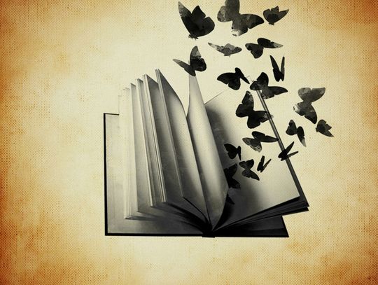 Zamość: Dodaj książce skrzydeł - akcja Książnicy Zamojskiej