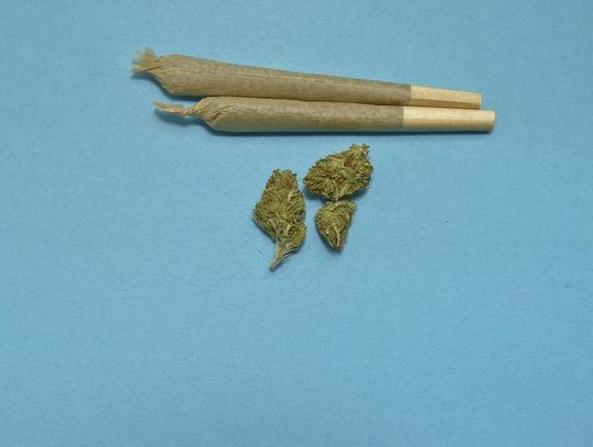 Zamość: Dzieci i narkotyki. 13-letni chłopcy mieli marihuanę