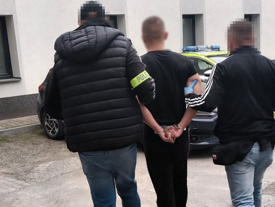 Zamojscy kryminalni ustalili i zatrzymali dwóch mężczyzn w wieku 25 i 30-lat, którzy posiadali znaczne ilości marihuany. Podejrzani odpowiedzą też za pozbawienie wolności kierowcy taksówki i próbę zmuszenia go do rozwożenia narkotyków.