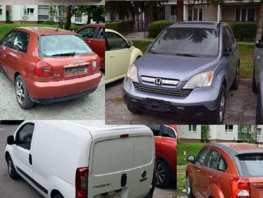 23-latek z Zamościa odpowie za kradzież tablic rejestracyjnych.