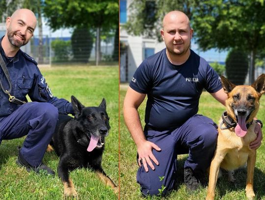 30 czerwca odbyły się wojewódzkie eliminacje do XXII finału Kynologicznych Mistrzostw Policji SUŁKOWICE 2025. W eliminacjach udział wzięło 13 psów służbowych wraz ze swoimi przewodnikami z jednostek Policji lubelskiego garnizonu.