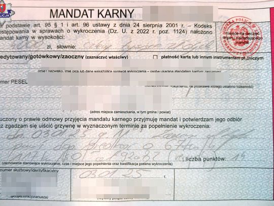 Utrata prawa jazdy i surowy mandat w „recydywie” za przekroczenie prędkości to kara dla kierowcy z powiatu zamojskiego.