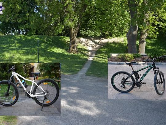 13-latek w parku miejskim w Zamościu zjeżdżając rowerem ze wzniesienia, zderzył się z 11-letnią cyklistką.