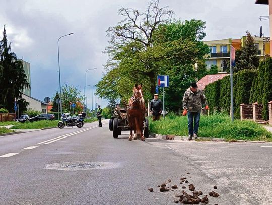 Konie na zamojskim Rynku Wielkim są mile widziane, pod warunkiem że ich właściciel zaopatrzy je w gumowe nakładki na kopyta, a gdy nabrudzą, szybko posprząta albo zadba o torbę na odchody.