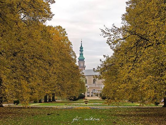 Zamość w konkursie ECO-MIASTO