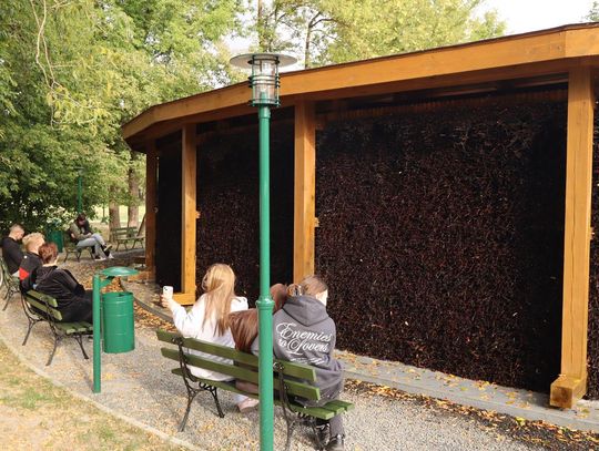 Na zdjęciu tężnia w Zamościu.