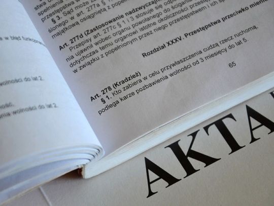 Dwaj zamościanie ukradli z restauracji skarbonkę z napiwkami.