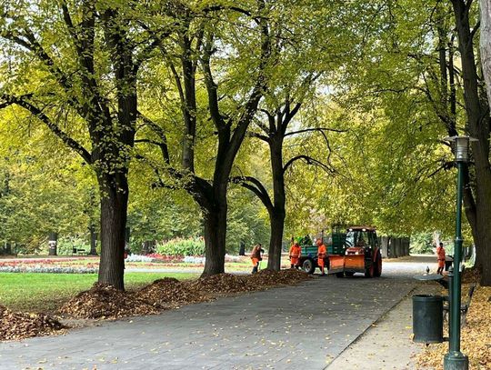 Osadzeni będą wspierać pracowników Zakładu Usług Komunalnych w dbaniu o czystość w Zamościu.