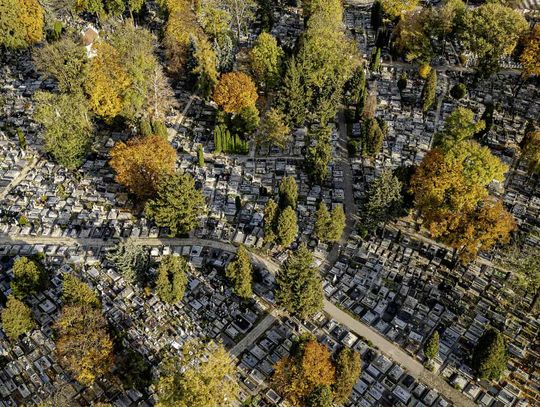 Już po raz 19. na zamojskiej nekropolii przy ul. Peowiaków w Zamościu odbędzie się kwesta na rzecz odnowy zabytkowych pomników.