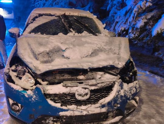 W nocy z soboty na niedzielę (22/23 listopada) w Zawadkach w gm. Susiec i w Rogóźnie gm. Tomaszów Lubelski na przejeżdżające drogami pojazdy przewróciły się drzewa