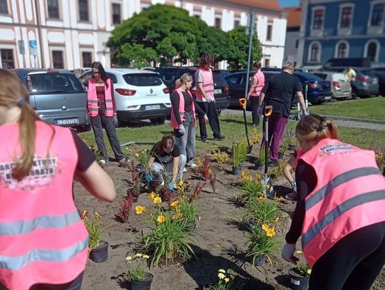 Zdolna młodzież zazielenia Zamość. Projekt nasadzeń przygotowała uczennica „Rolniczaka”