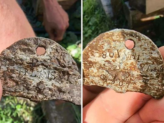Podczas prac poszukiwawczych prowadzonych na polach na terenie gminy Adamów wolontariusze Fundacji Historyczne Roztocze odnaleźli dwa wojskowe nieśmiertelniki.