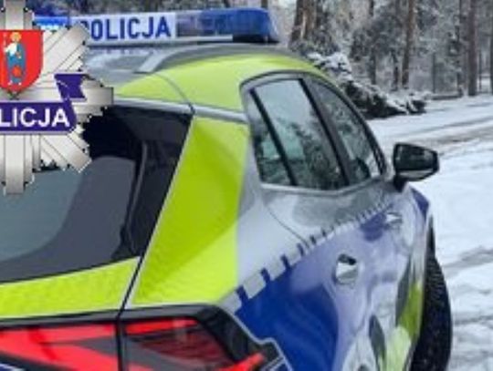 34-latka z gminy Zwierzyniec wyjaśniała policjantom, że pozostawiła syna na kilkanaście minut i poszła zrobić niezbędne zakupy.