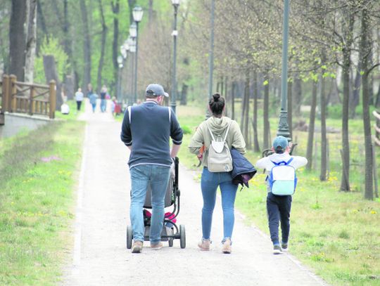 Zwierzyniec: Na własnej scenie