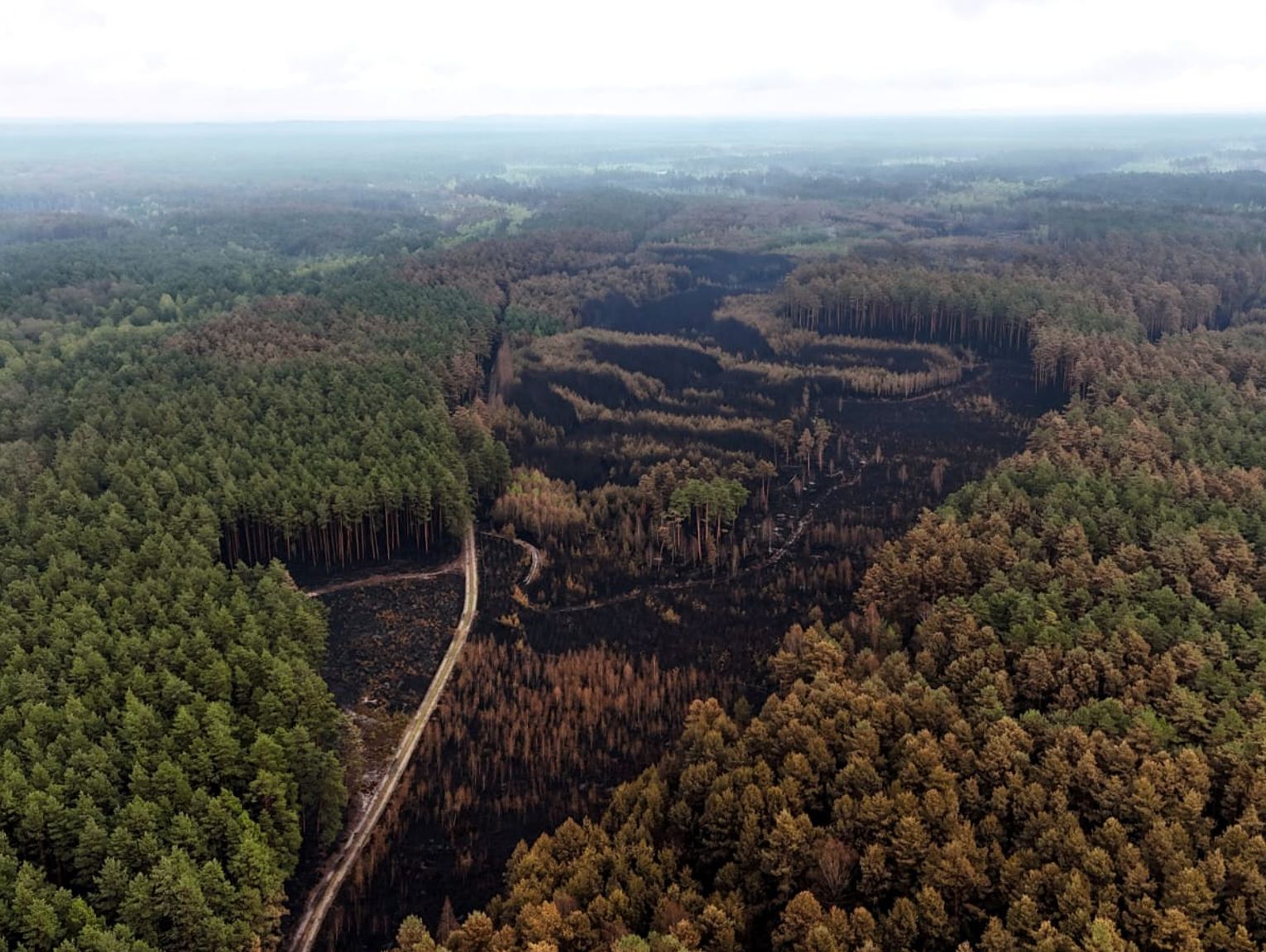 145 strażaków wciąż dogasza pożarzysko w Puszczy Solskiej