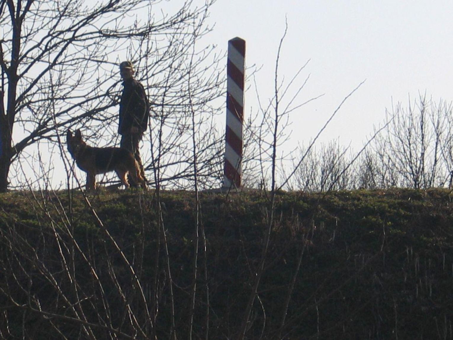 6 na rękę, trzynastka i dodatki. Zostań pogranicznikiem, NOSG przyjmuje też osoby bez średniego wykształcenia