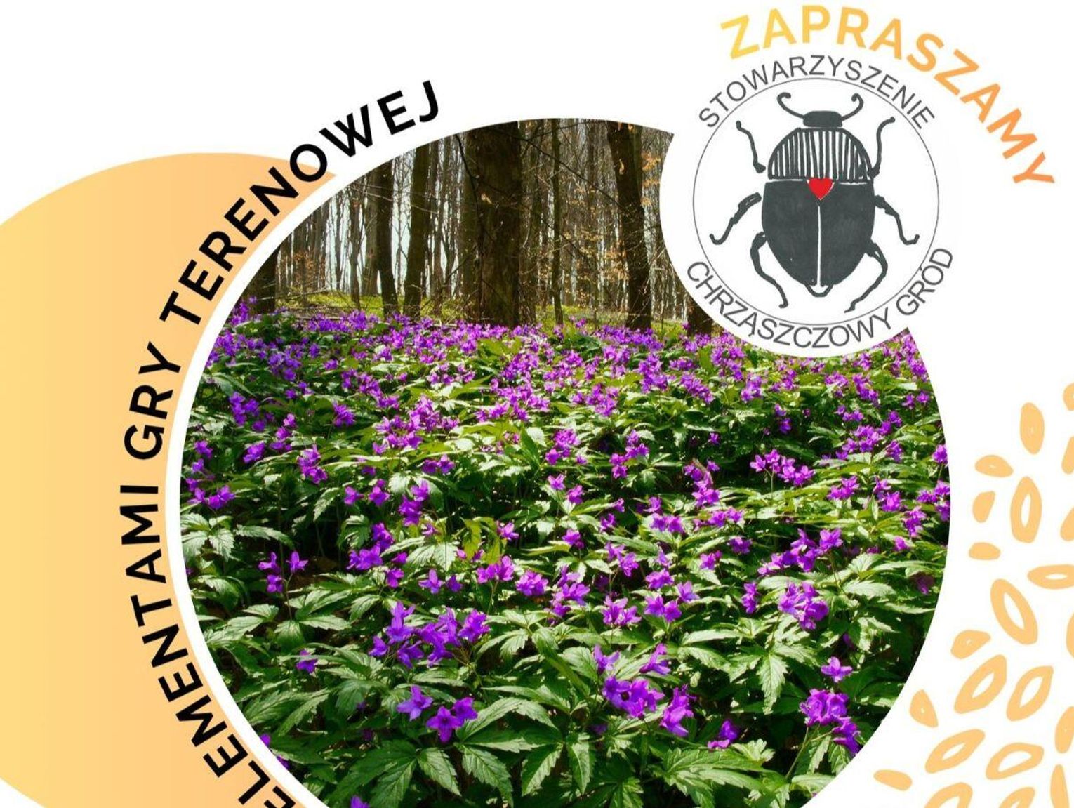 7 km przez wiosenne Roztocze i ognisko na koniec. Rusza Rajd Chrząszczowy