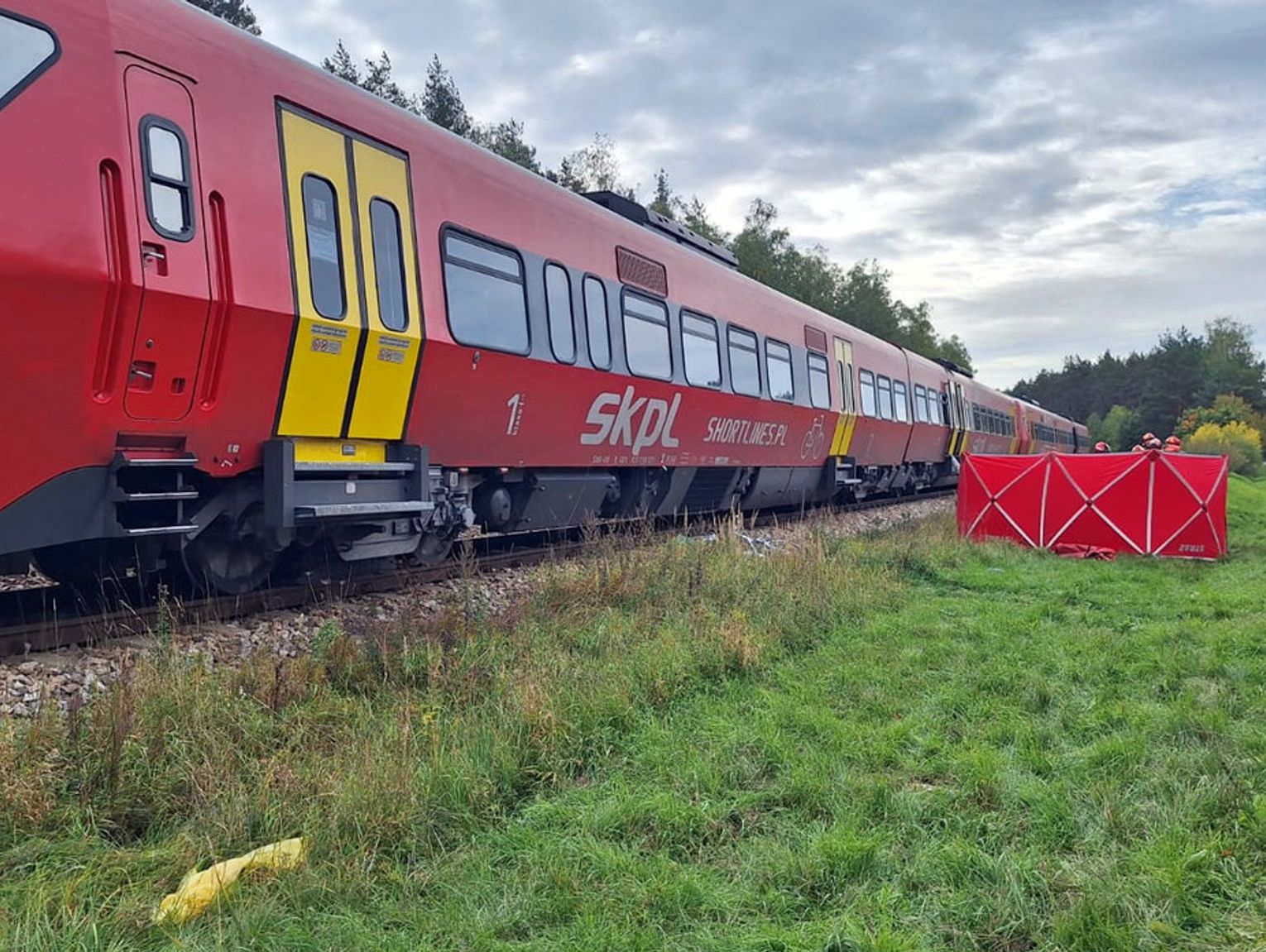 Gm. Zwierzyniec: 82-latek zginął pod pociągiem. Przechodził przez torowisko