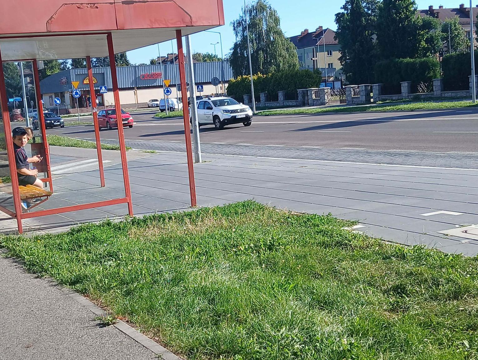 „Betonoza” po zamojsku. Bitwa o każdy metr cienia