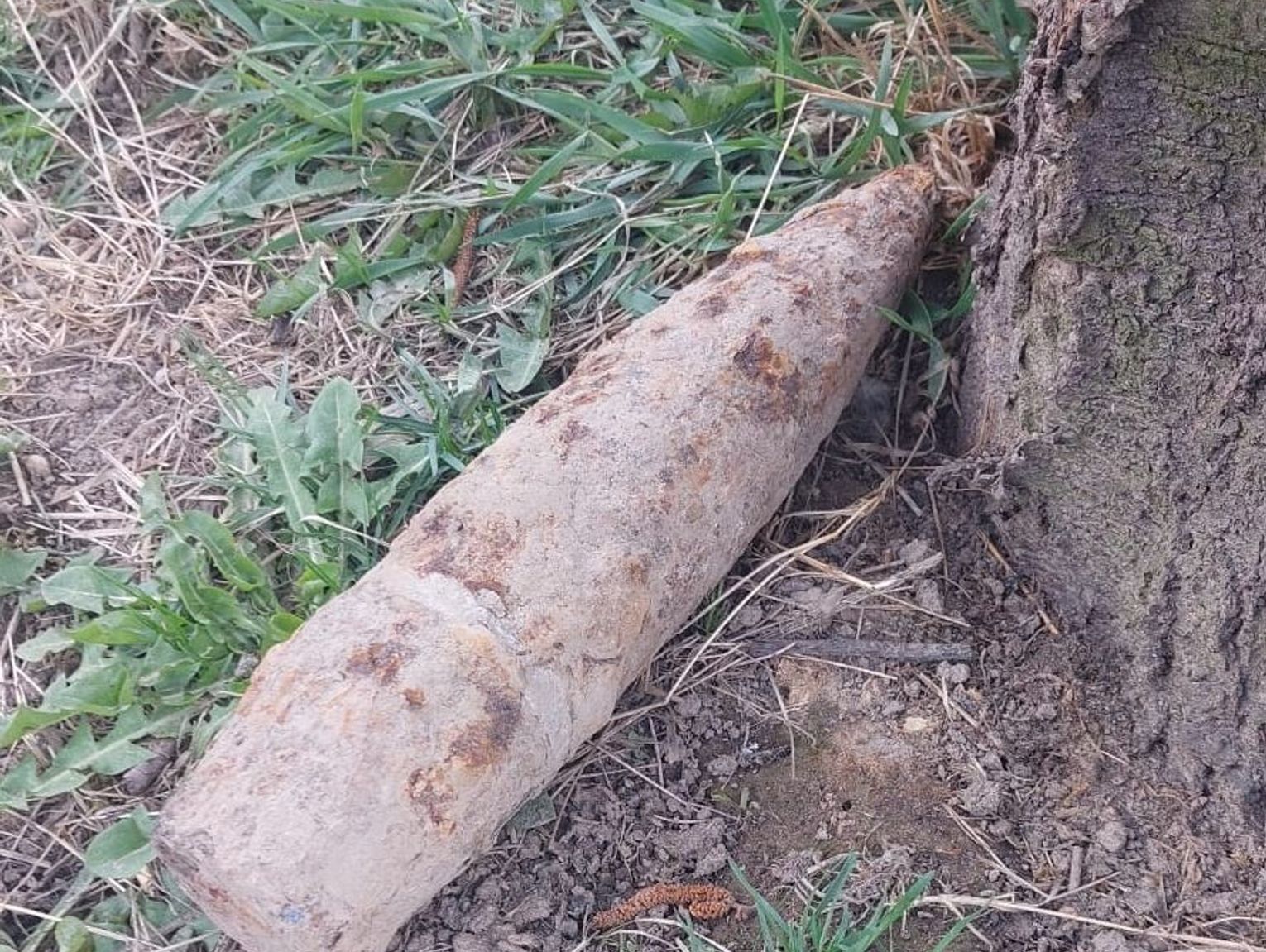 Bononia: Pocisk w ogródku