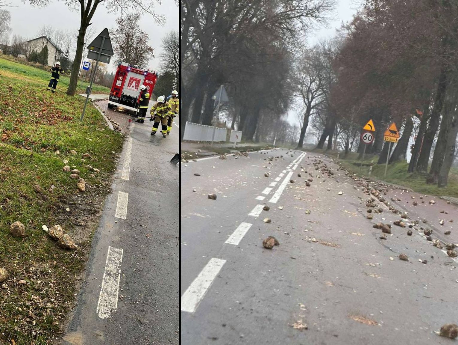 Buraki cukrowe zablokowały drogę wojewódzką w woj. lubelskim. Akcja straży pożarnej!